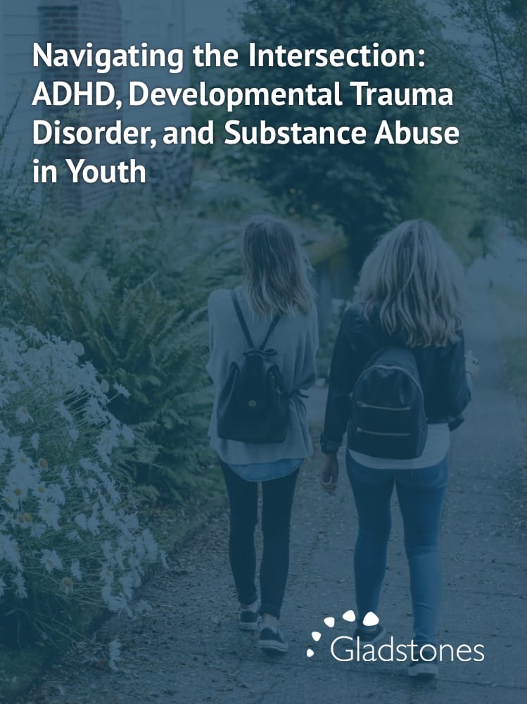 Navigating the Intersection: ADHD, Developmental Trauma Disorder, and Substance Abuse in Youth